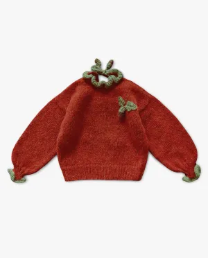 Acorns Pullover | Red-orange