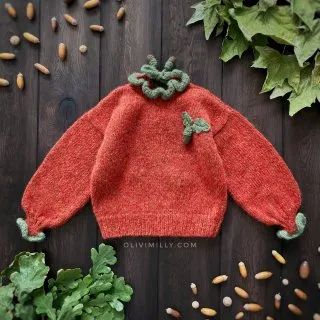 Acorns Pullover | Red-orange