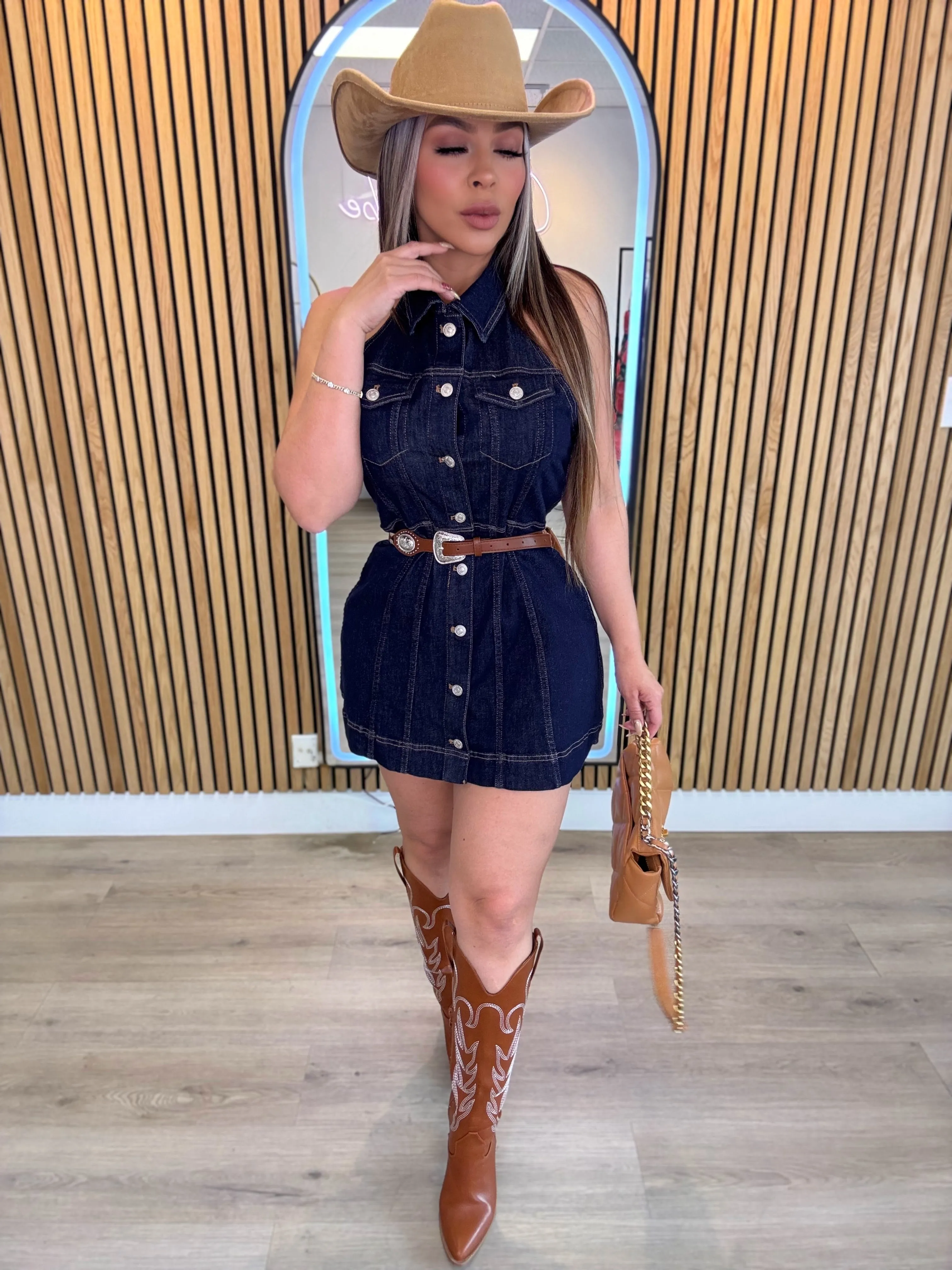 Anastasia Denim Dress