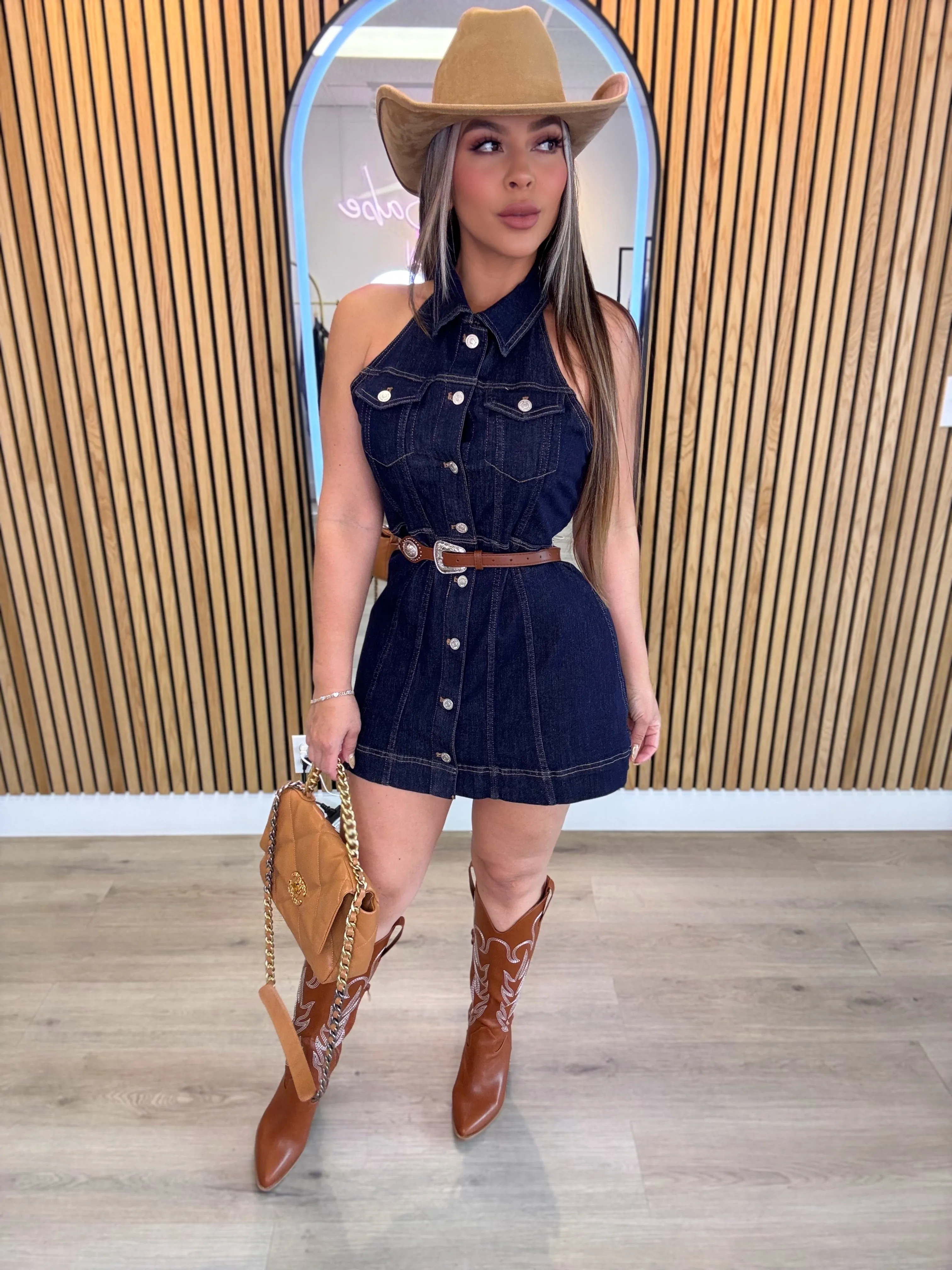 Anastasia Denim Dress