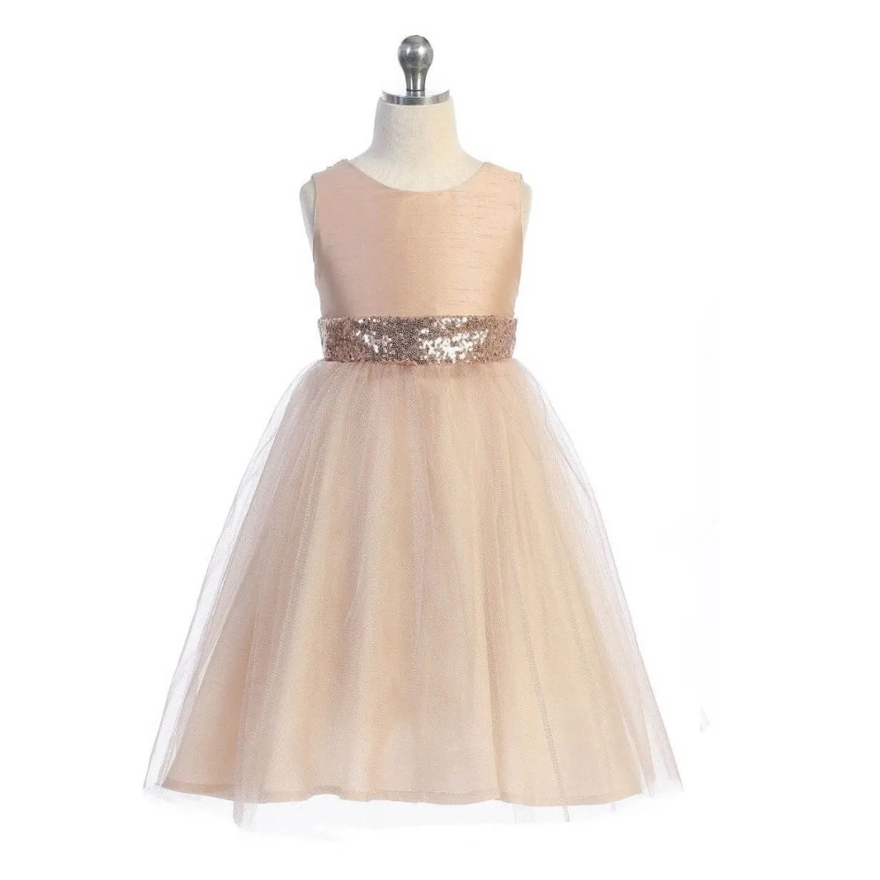 Belle of the Ball Dress - Blush Shimmer