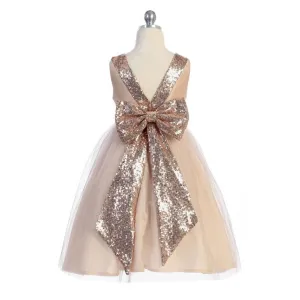 Belle of the Ball Dress - Blush Shimmer