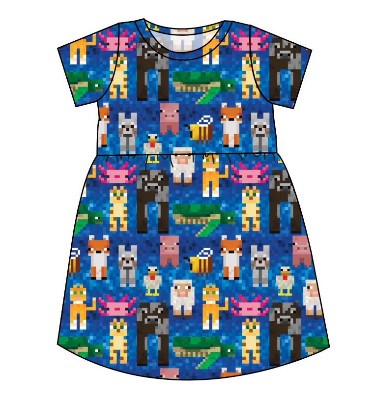 Block Friends Play Dress