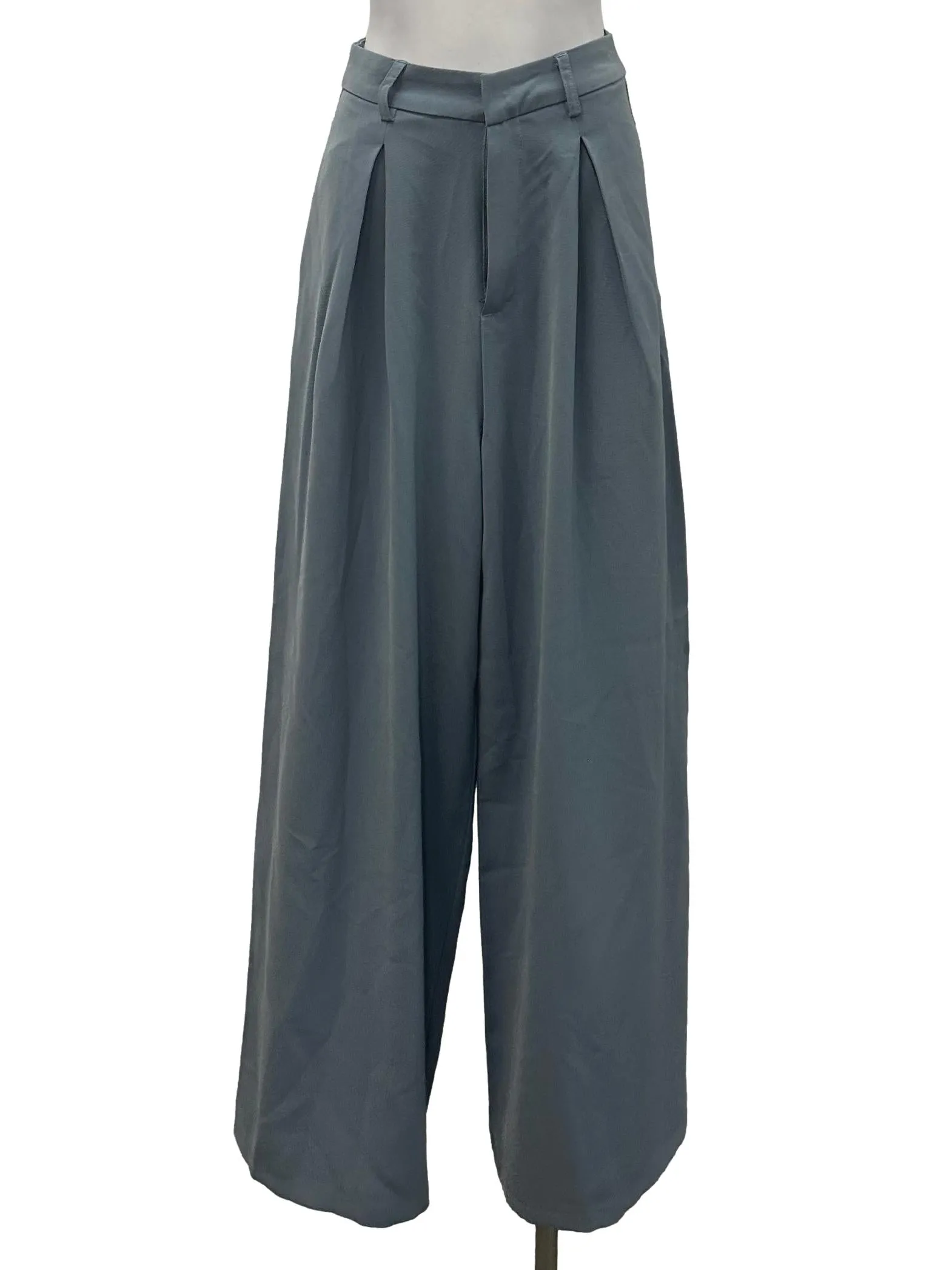 Blue Pleated Pants