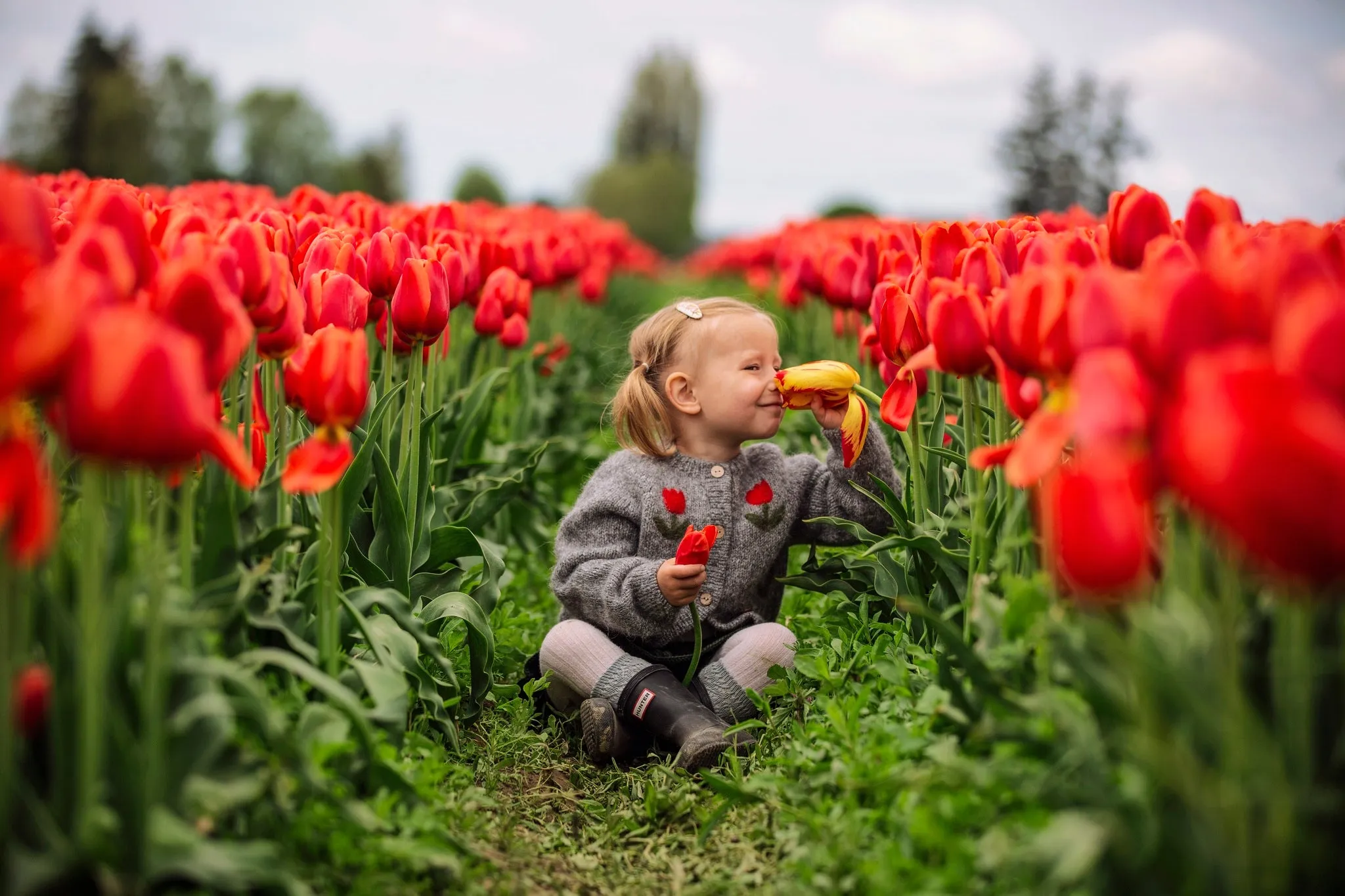 Cardigan Tulips |dark grey| in stock (0-3m)