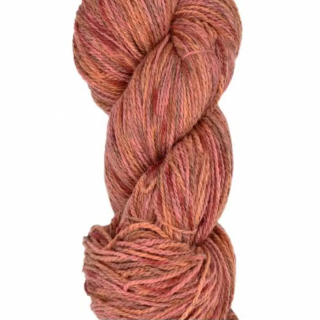 Juniper Moon Farm Patagonia Organic Merino Hand Paints Sport Yarn