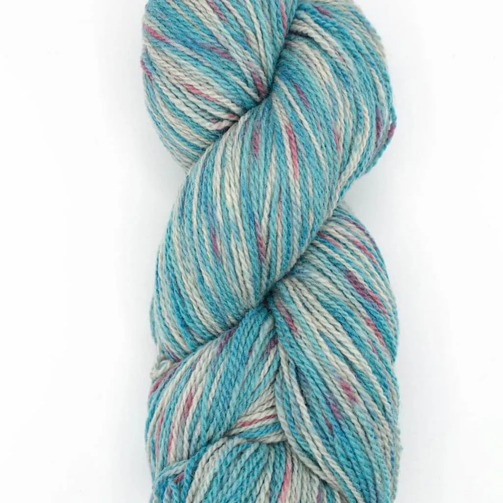 Juniper Moon Farm Patagonia Organic Merino Hand Paints Sport Yarn