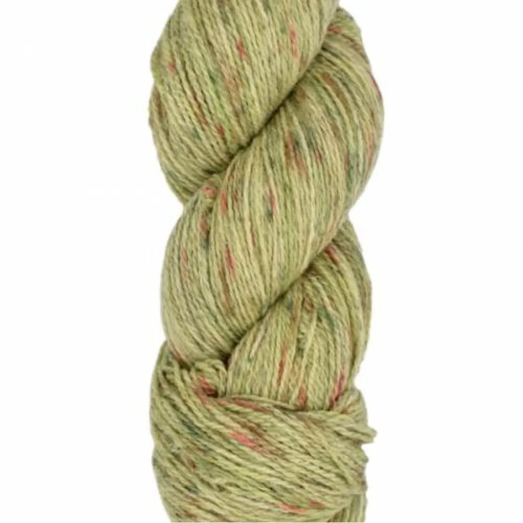 Juniper Moon Farm Patagonia Organic Merino Hand Paints Sport Yarn