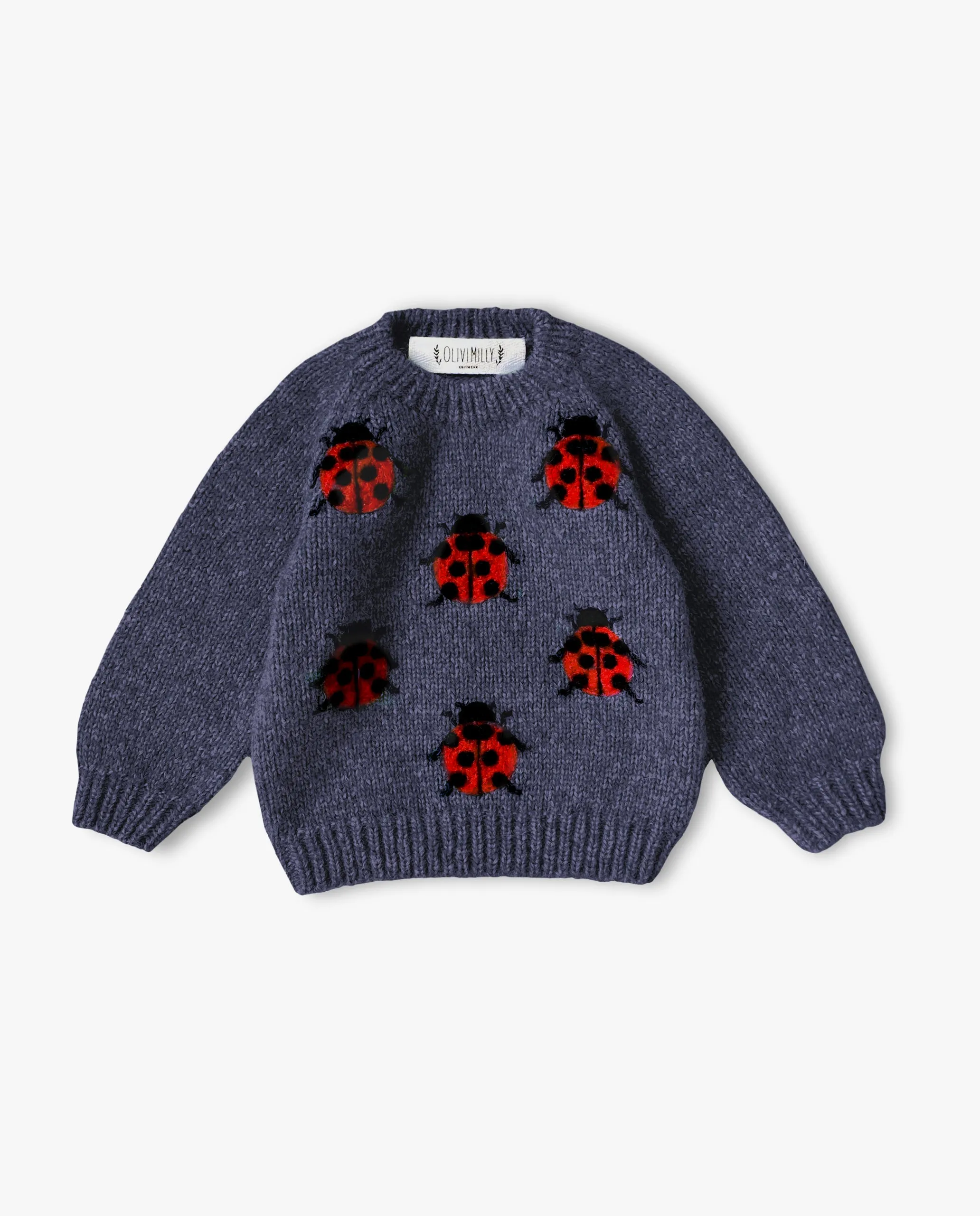 Ladybug Jumper | Dark blue