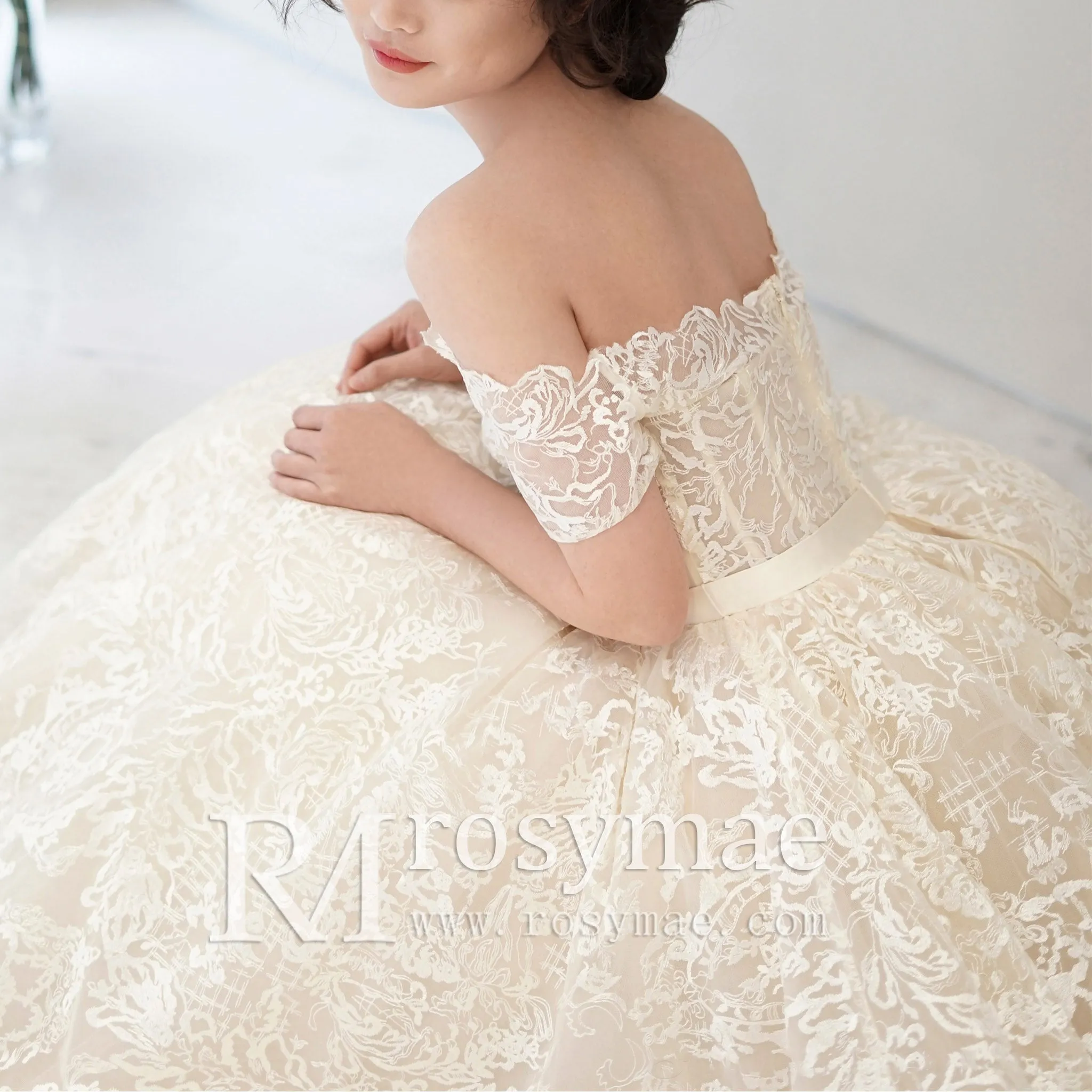 Off the Shoulder Tea Length Sheer Bodice Lace Wedding Dress