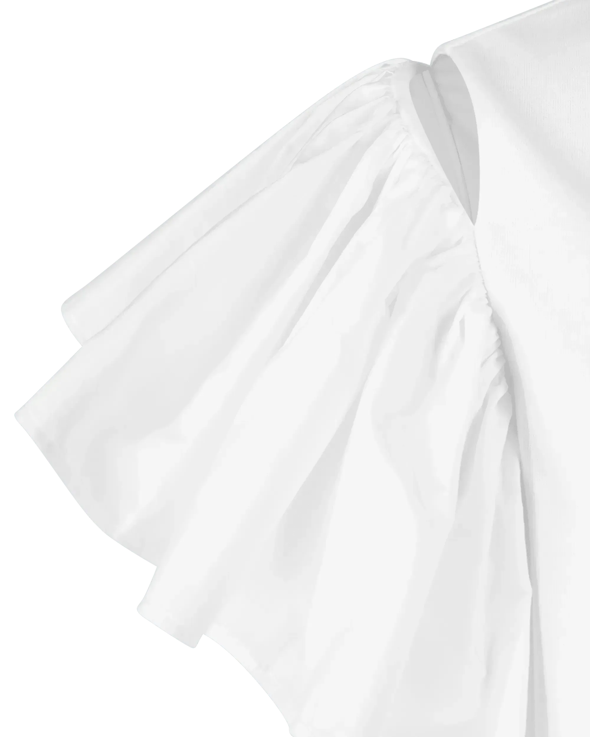 Organic Compact Cotton Jersey Dress
