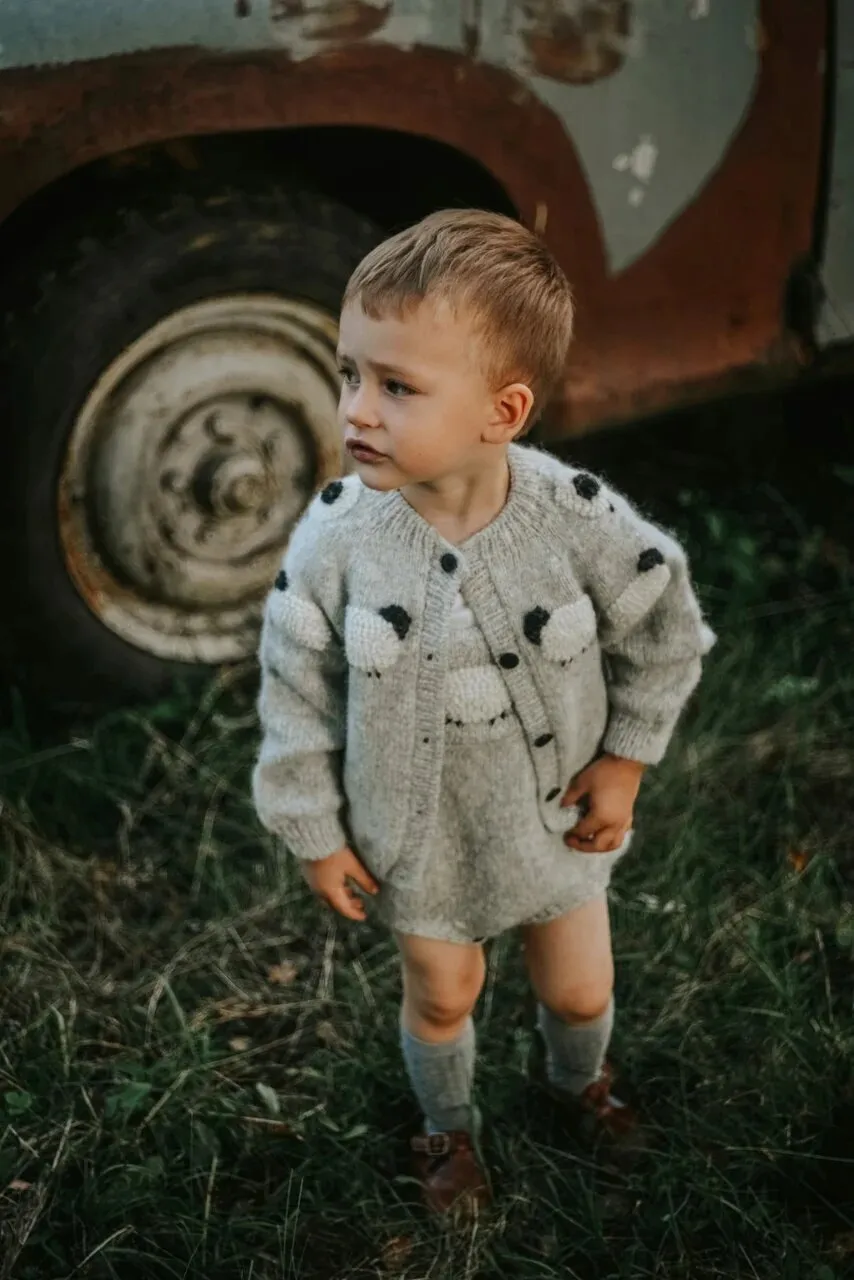 Sheeps cardigan | Light grey
